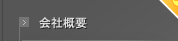 ЊTv